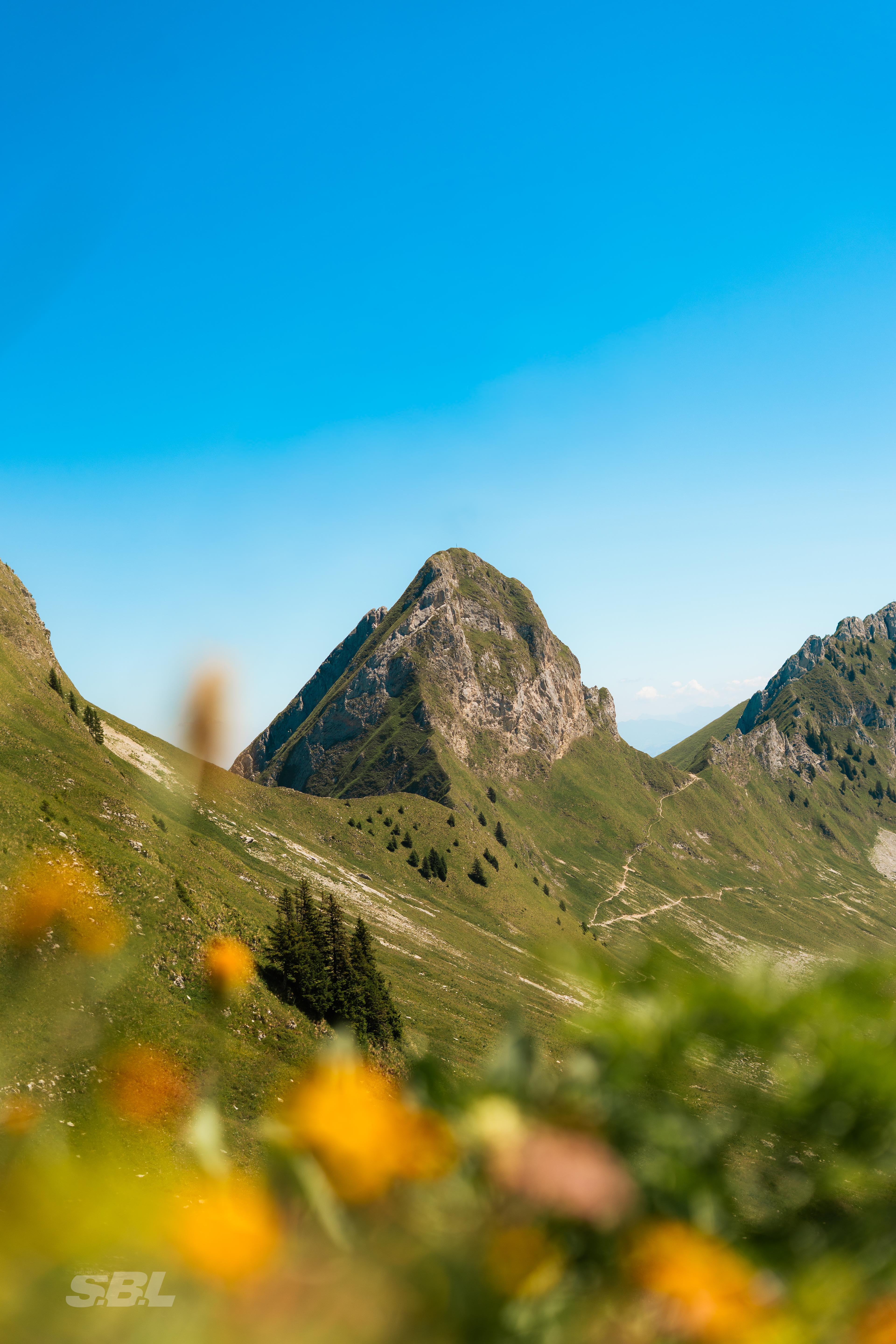 Berner Oberland