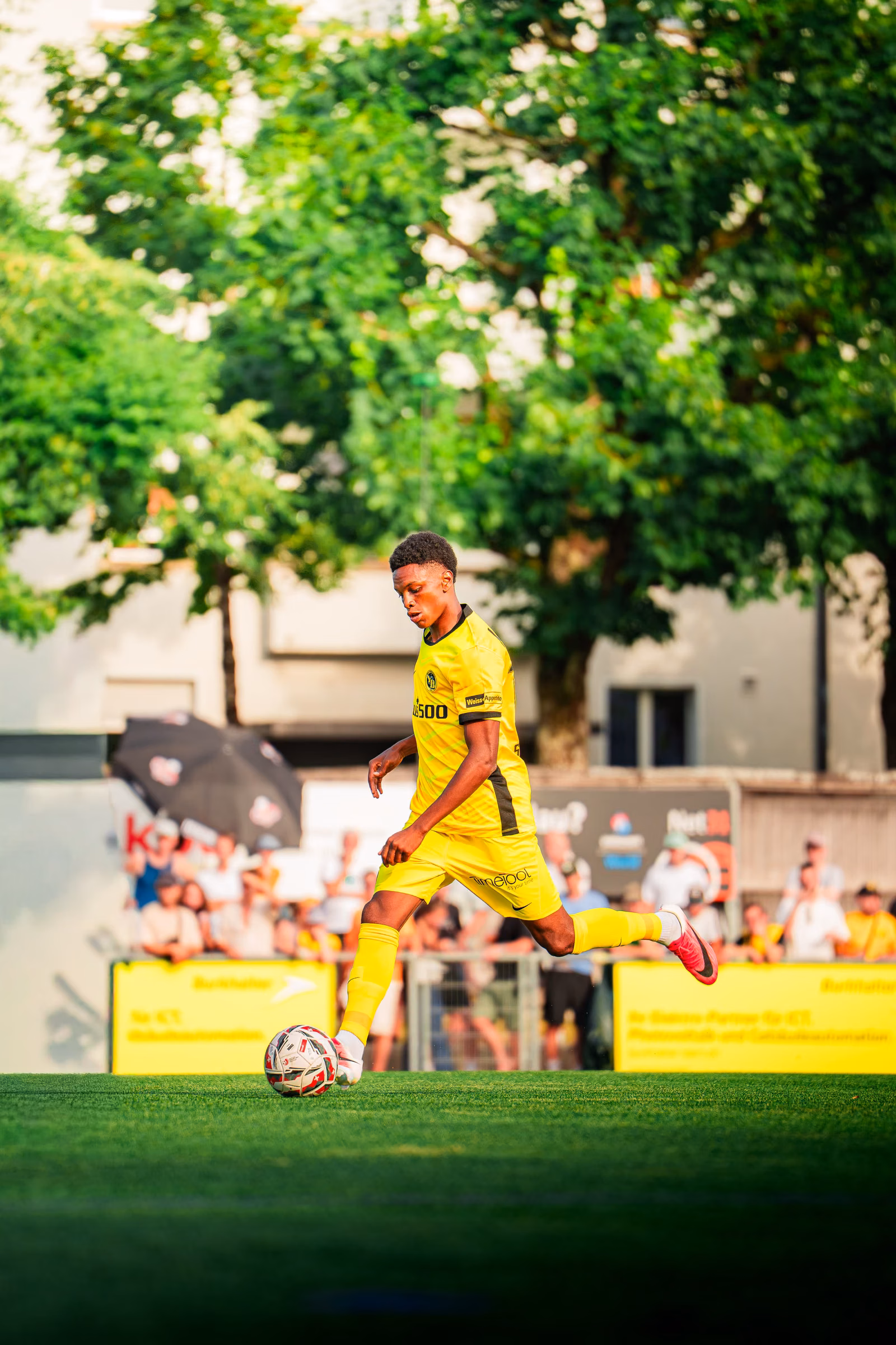 BSC Young Boys