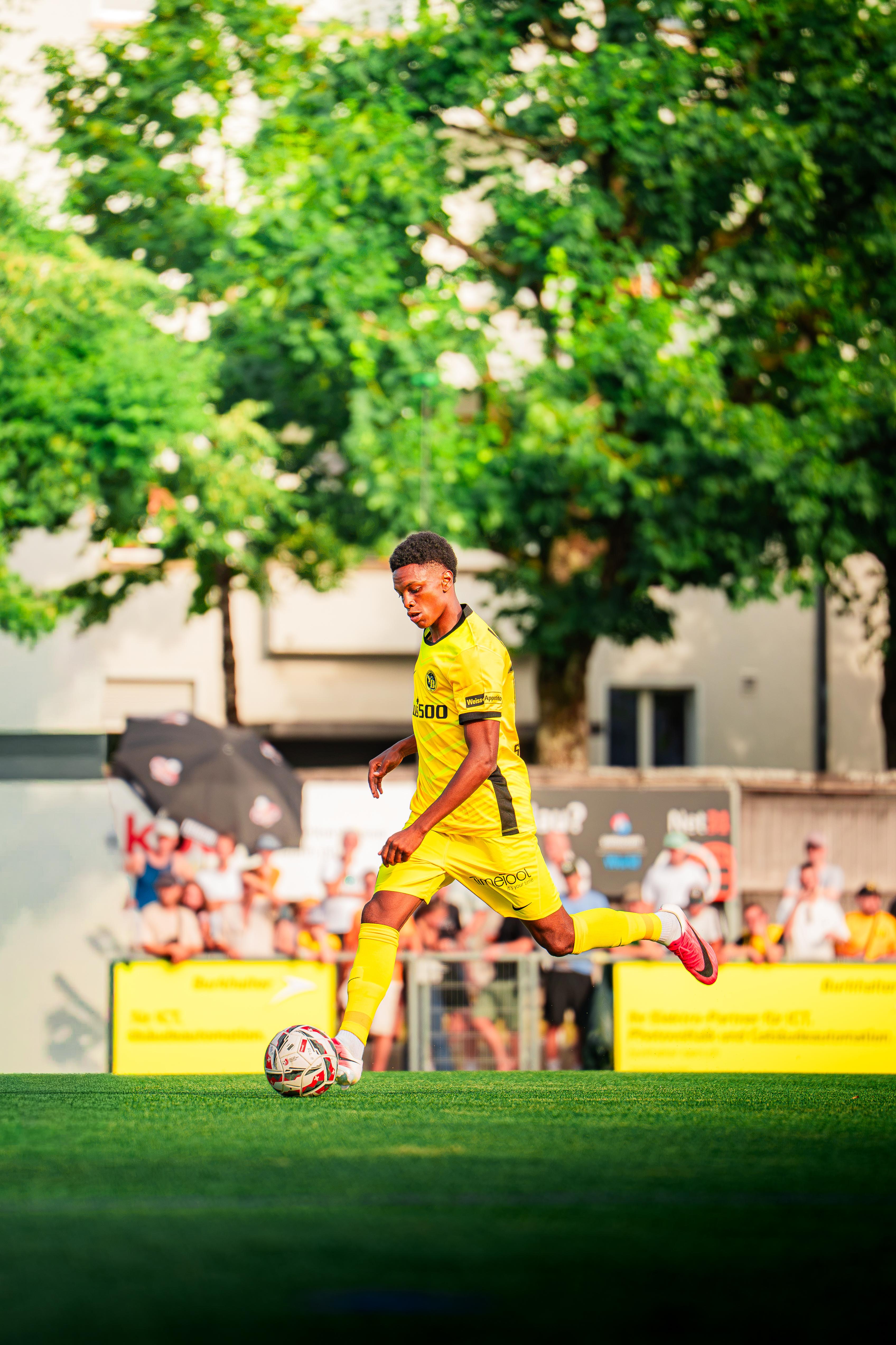 BSC Young Boys